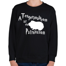 PRINTFASHION A Tengerimalacom az én Patrónusom - Gyerek pulóver - Fekete