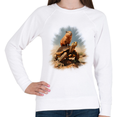 PRINTFASHION Capybara teknős háton - Női pulóver - Fehér