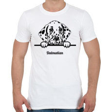 PRINTFASHION Dalmata - Férfi póló - Fehér