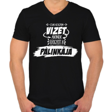 PRINTFASHION Fontos pálinka infó! - Férfi V-nyakú póló - Fekete férfi póló