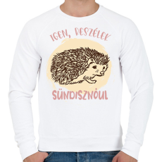 PRINTFASHION Igen, beszélek sündisznóul - Férfi pulóver - Fehér