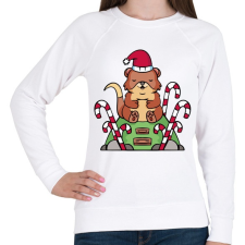 PRINTFASHION Karácsonyi vidra - Női pulóver - Fehér női pulóver, kardigán