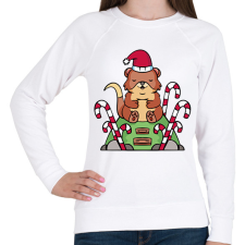 PRINTFASHION Karácsonyi vidra - Női pulóver - Fehér női pulóver, kardigán