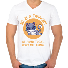 PRINTFASHION Köszi a tanácsot - Férfi V-nyakú póló - Fehér férfi póló