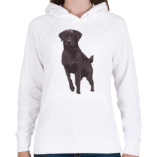PRINTFASHION Labrador - Női kapucnis pulóver - Fehér női pulóver, kardigán
