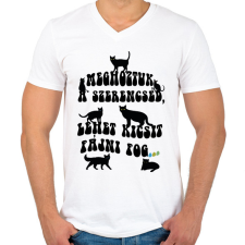 PRINTFASHION Meghoztuk a szerencséd - Férfi V-nyakú póló - Fehér férfi póló