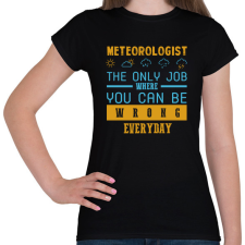 PRINTFASHION Meteorologist the only job - Női póló - Fekete női póló