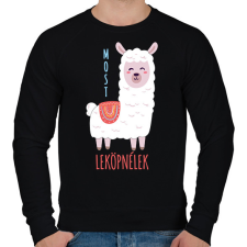 PRINTFASHION Most leköpnélek - Antiszoc láma - Férfi pulóver - Fekete férfi pulóver, kardigán