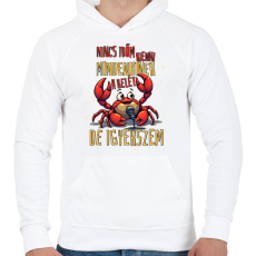 PRINTFASHION Nincs időm kienni a belét mindenkinek de igyekszem - Férfi kapucnis pulóver - Fehér