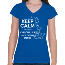 PRINTFASHION Nyugi - Női V-nyakú póló - Királykék női póló