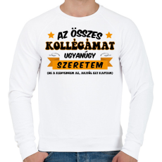 PRINTFASHION Összes kollégámat - Férfi pulóver - Fehér