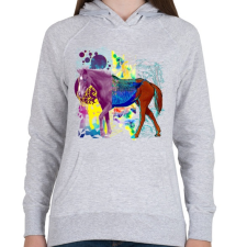 PRINTFASHION Színes paripa - Női kapucnis pulóver - Sport szürke női pulóver, kardigán