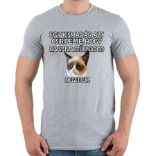 PRINTFASHION Szülinapi Grumpy Cat - Férfi póló - Sport szürke férfi póló