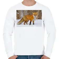 PRINTFASHION Vörös róka - Férfi pulóver - Fehér férfi pulóver, kardigán