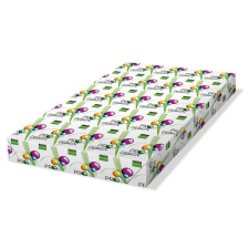 PRO-DESIGN Másolópapír digitális SRA3 450x320 mm 250g (PRDES250X415) fénymásolópapír