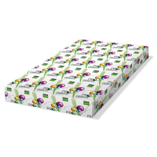 PRO-DESIGN Másolópapír, digitális, SRA3, 450x320 mm, 300 g, PRO-DESIGN fénymásolópapír