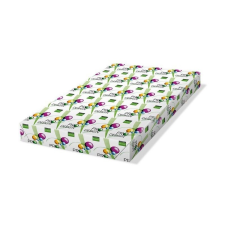 PRO-DESIGN Másolópapír digitális SRA3 450x320 mm 300g (PRDES300X410) fénymásolópapír
