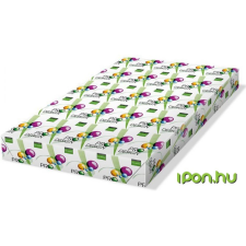 PRO-DESIGN Másolópapír digitális SRA3 450x320mm 120g fénymásolópapír