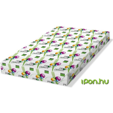 PRO-DESIGN Másolópapír digitális SRA3 450x320mm 160g fénymásolópapír