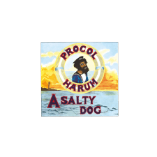  Procol Harum - A Salty Dog (Vinyl LP (nagylemez)) egyéb zene