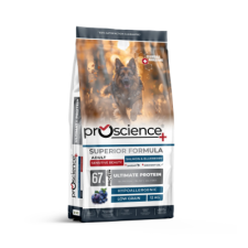ProScience Adult Dog Salmon and Blueberry 12kg kutyaeledel
