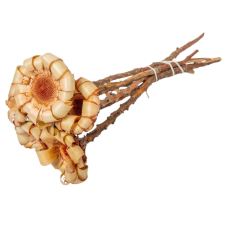  Protea curly krém 6db-os dekorációs kellék