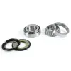 ProX Racing Parts ProX CR85R / CRF150F / CRF230F '03-19 fejcsapágy készlet ProX Racing Parts Kormányok és tartozékaik Kormánycsapágyak