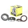 ProX Racing Parts ProX főtengely csapágy és szimering szett KTM250SX-F '13-15 ProX Racing Parts Motor alkatrészek Főtengelyek és főtengely csapágyak Főtengely csapágyak