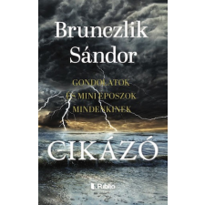 Publio Kiadó Kft. Cikázó regény