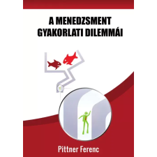 Publishdrive A menedzsment gyakorlati dilemmái egyéb e-könyv