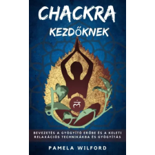 Publishdrive Csakrák kezdőknek egyéb e-könyv