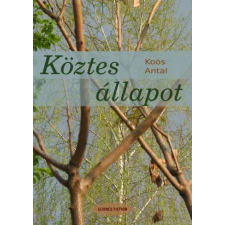 Publishdrive Köztes állapot egyéb e-könyv