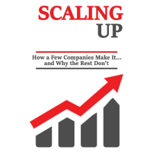 Publishdrive Scaling up egyéb e-könyv