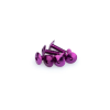 PUIG Puig M6x20 mm domború csavar készlet, lila Puig Vázak, idomok, kiegészítők Csavarok és alkatrészek