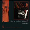 PULM Peut-on expliquer Soulages ? | FUMAT