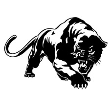 Puma autómatrica matrica