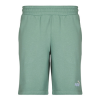 Puma Rövidnadrágok ESS 2 COLOR LOGO SHORT Zöld US L