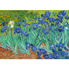 Puzzle Vincent Van Gogh: Íriszek 1000 darab puzzle, kirakós