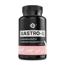 Quebeck GASTRO-Q Gyomorsavkötő, Gyomornyálkahártya Védő Por Kutyáknak 50g vitamin, táplálékkiegészítő kutyáknak