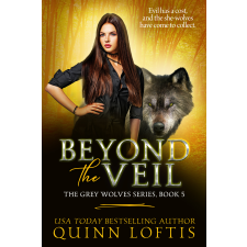 Quinn Loftis Books Beyond the Veil egyéb e-könyv