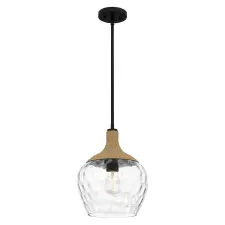 QUOIZEL modern boho függeszték royer matt fekete átlátszó elsqz-royer-1p-mbk világítás