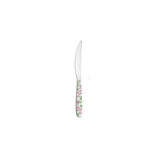  R2S.2271GAJO Rozsdamentes kés műanyag dekorborítású nyéllel,Garden Joy konyhai eszköz