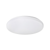 Rabalux 2285 - LED Menyezeti lámpa ROB 1xLED/32W/230V