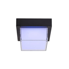 RÁBALUX Durbe kültéri fali lámpa/ Kültéri mennyezeti LED 10W kültéri világítás