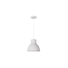 RÁBALUX Rábalux Derek 2577 függeszték, 1x60W E27 világítás