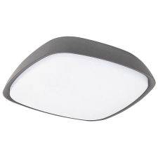 Rabalux Rábalux - LED kültéri mennyezeti lámpa LED/20W/230V IP65 kültéri világítás