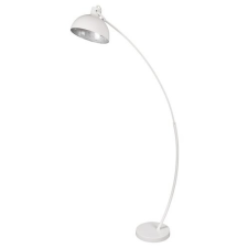 RÁBALUX Rábalux RX-5594 Otto álló lámpa 10W világítás