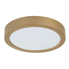 Rabalux Rábalux SHAUN PLUS mennyezeti lámpa arany LED 24W IP44 világítás
