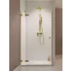 Radaway Essenza Pro Brushed Gold DWJ szálcsiszolt arany zuhanyajtó 120 átlátszó balos