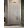 Radaway Nes Brushed Gold DWS szálcsiszolt arany zuhanyajtó 140B